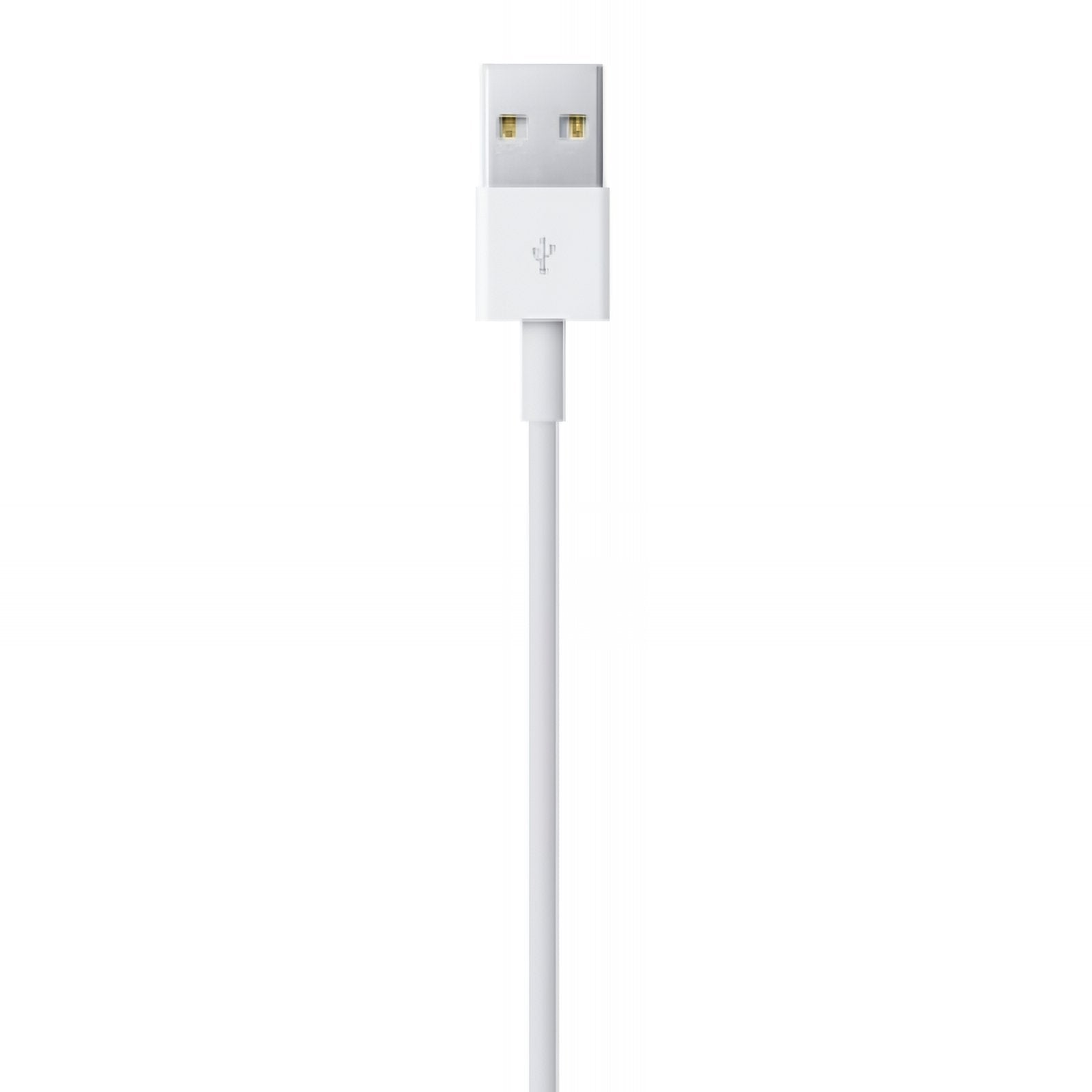 APPLE LIGHTNING TO USB CABLE