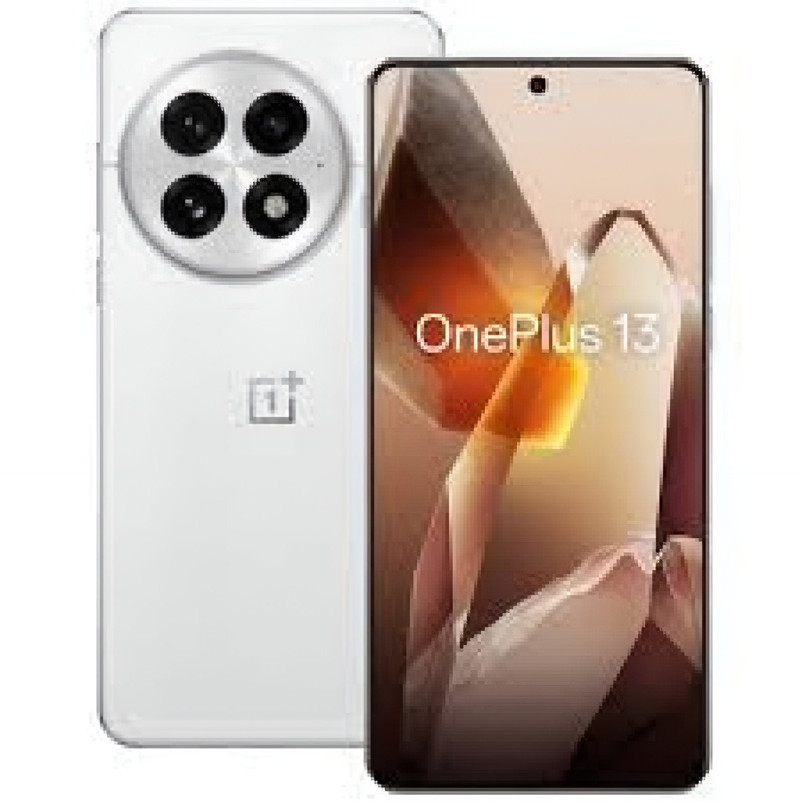 ONEPLUS 13