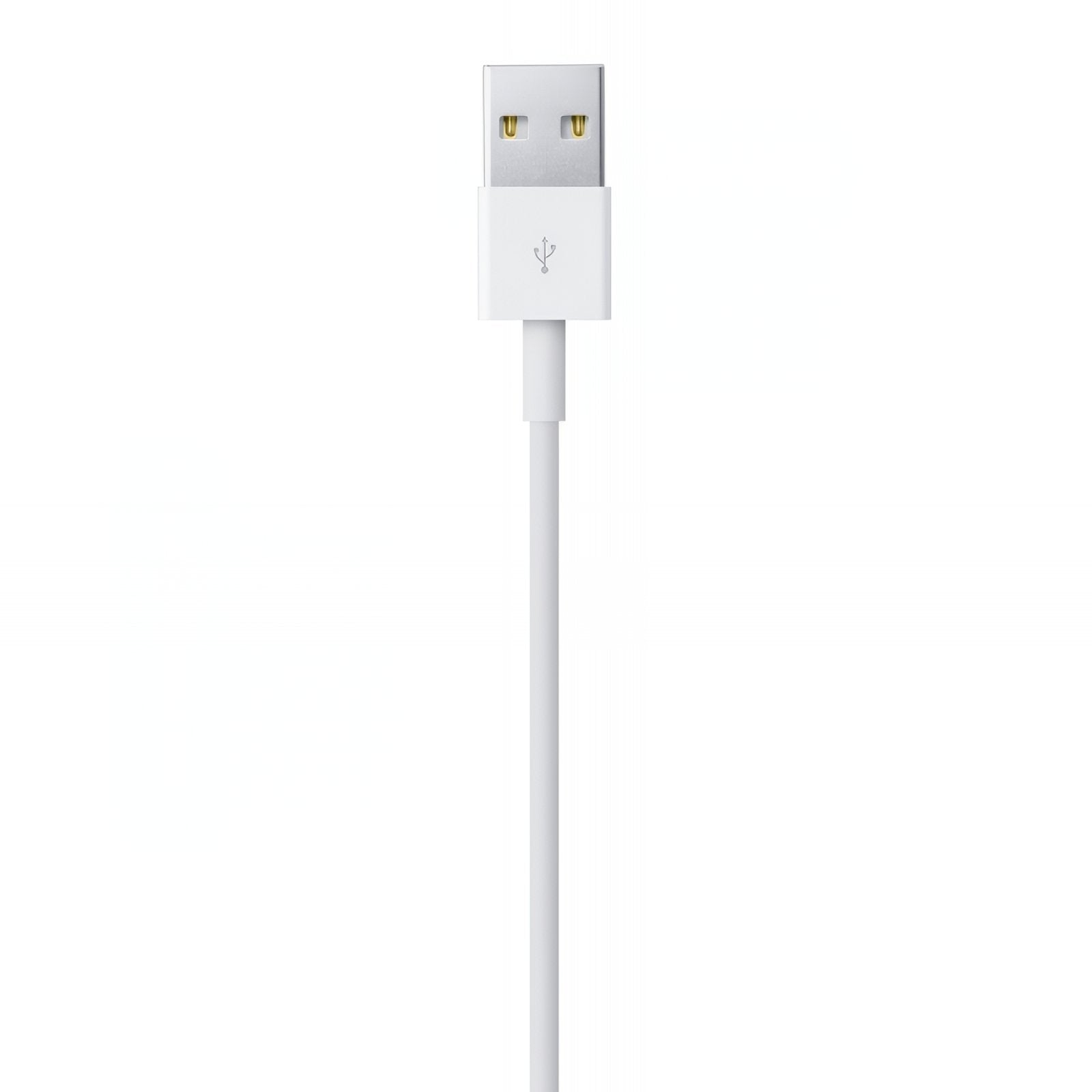 APPLE LIGHTNING TO USB CABLE
